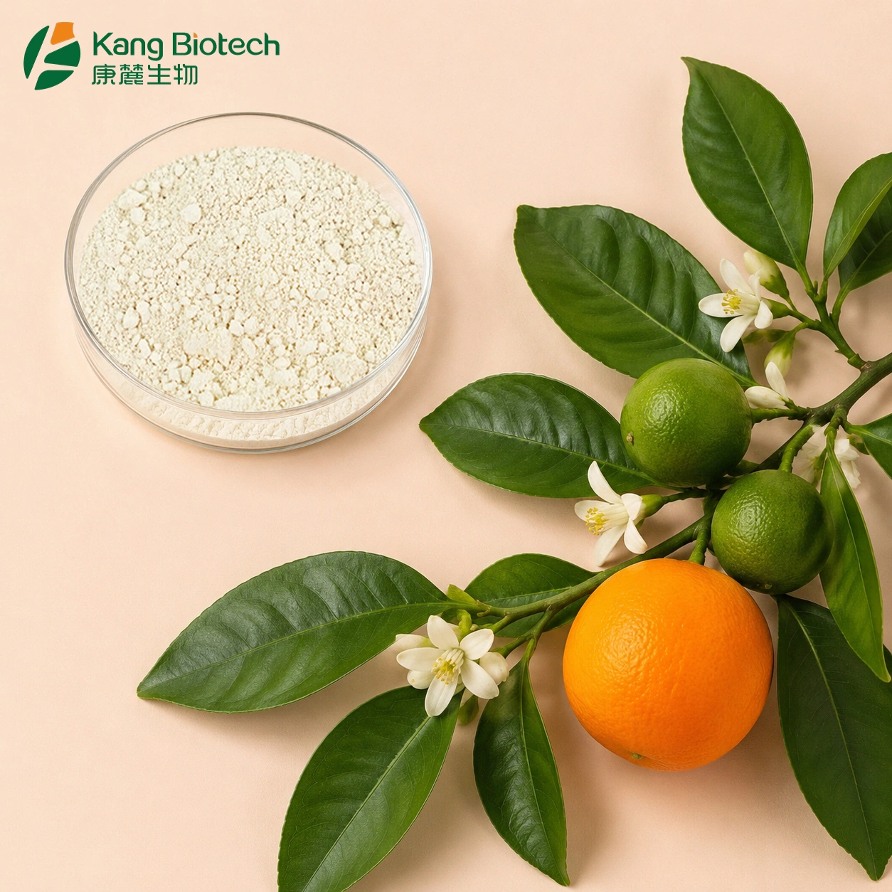 Hesperidin Pharmaceutical Grade
